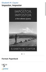 Link to Amazon.com to purchase paperback 